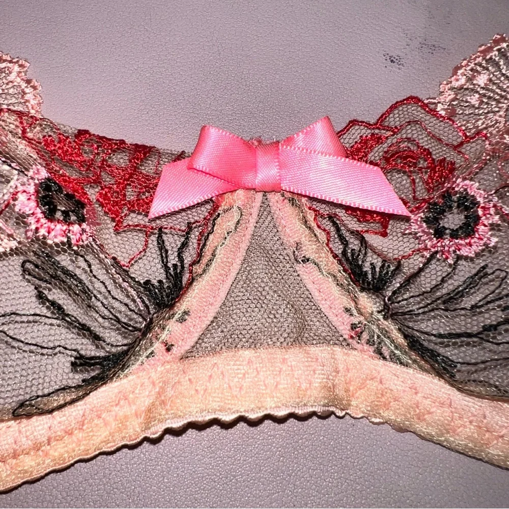 Agent Provocateur Pink Zuri Underwired Bra Size 36DD Italian Tulle Sheer Embroid